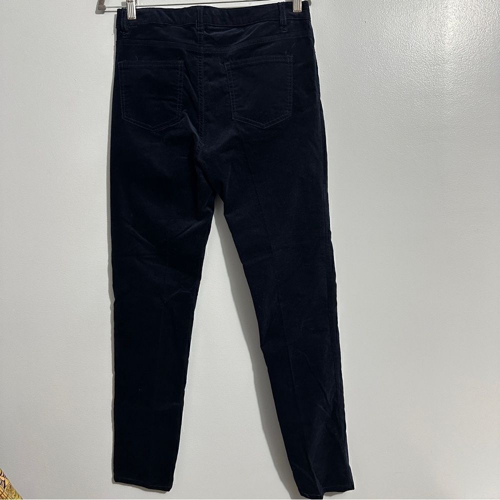 Buffalo blue velvet mid rise skinny stretch pants size 8/29